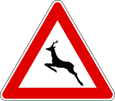 Animali selvatici